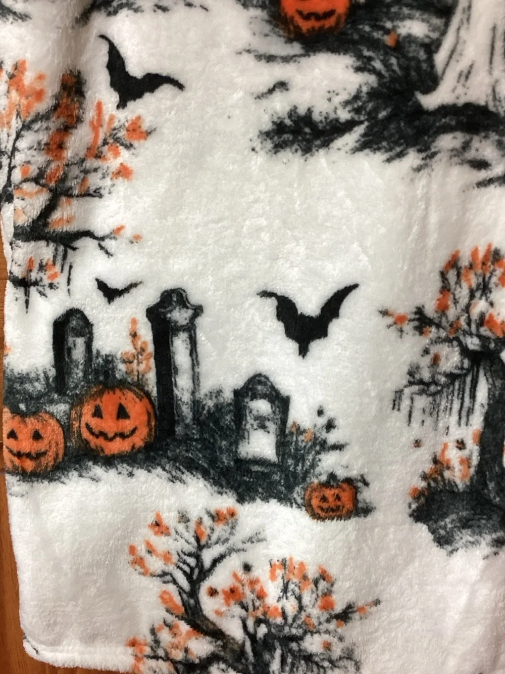 Halloween Collection Ghosts in Cemetery Blanket 👻🦇